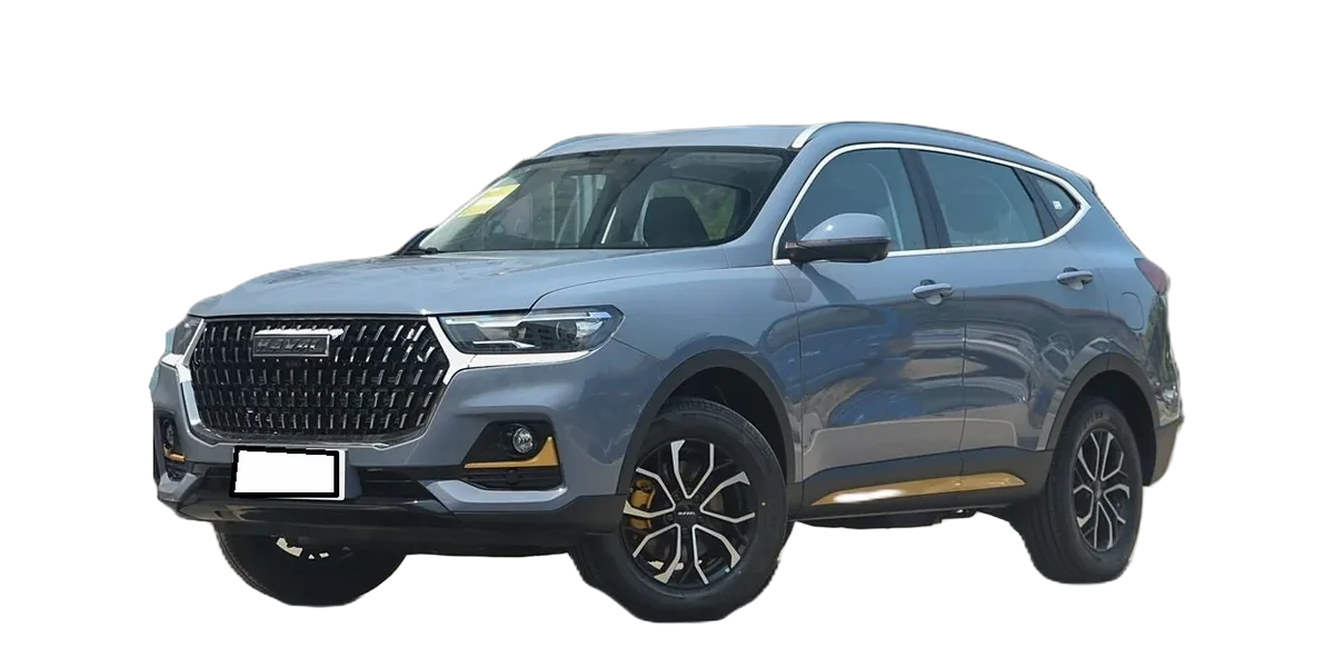 Haval H6 China chic 2020–