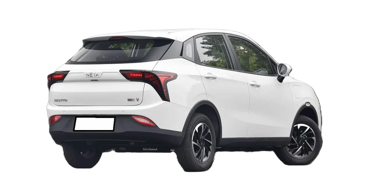 Neta V 2021