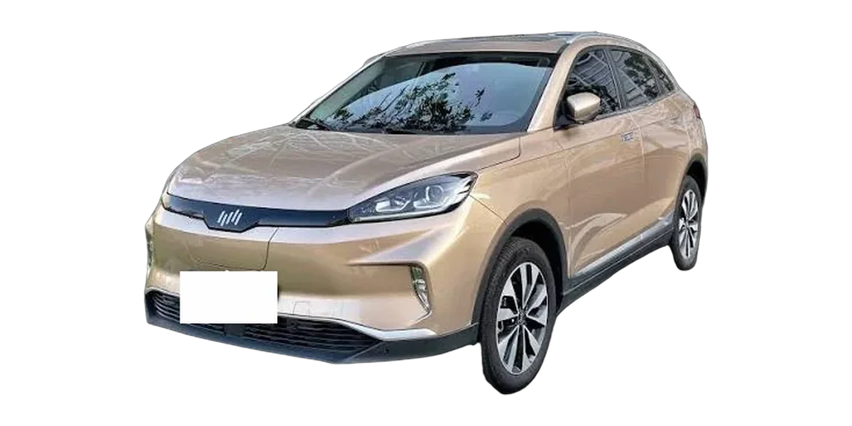 WMMotor EX5 Mate 400 2019