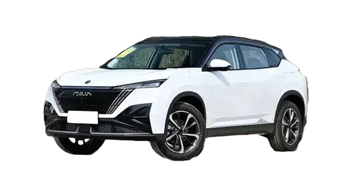 Dongfeng Vastness/Mage 2024