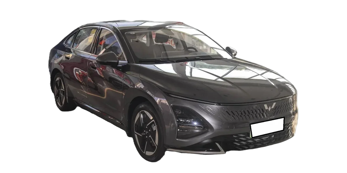 WuLing Xingguang 2024